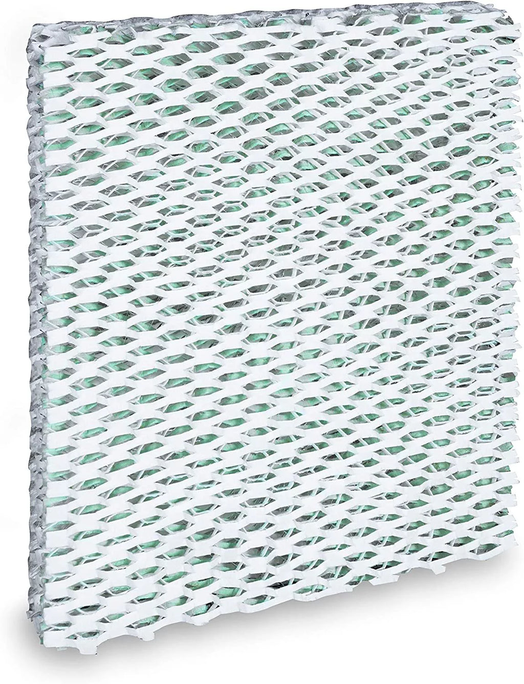 Humidifier Wick Filter Single Pack J638