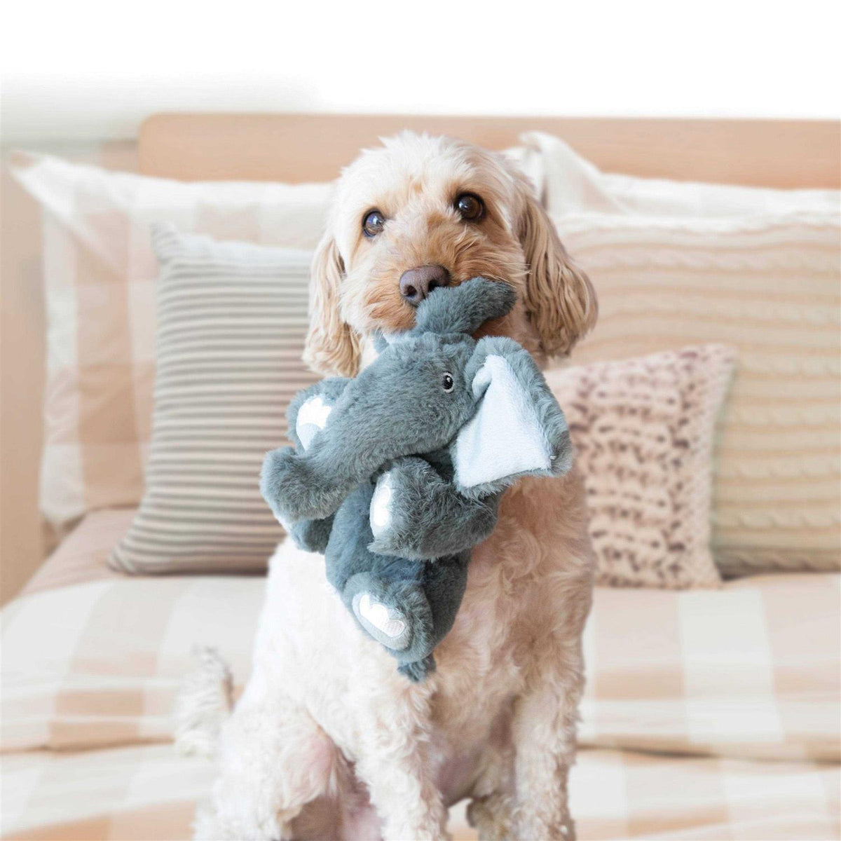 Bear Dog Toy F114167