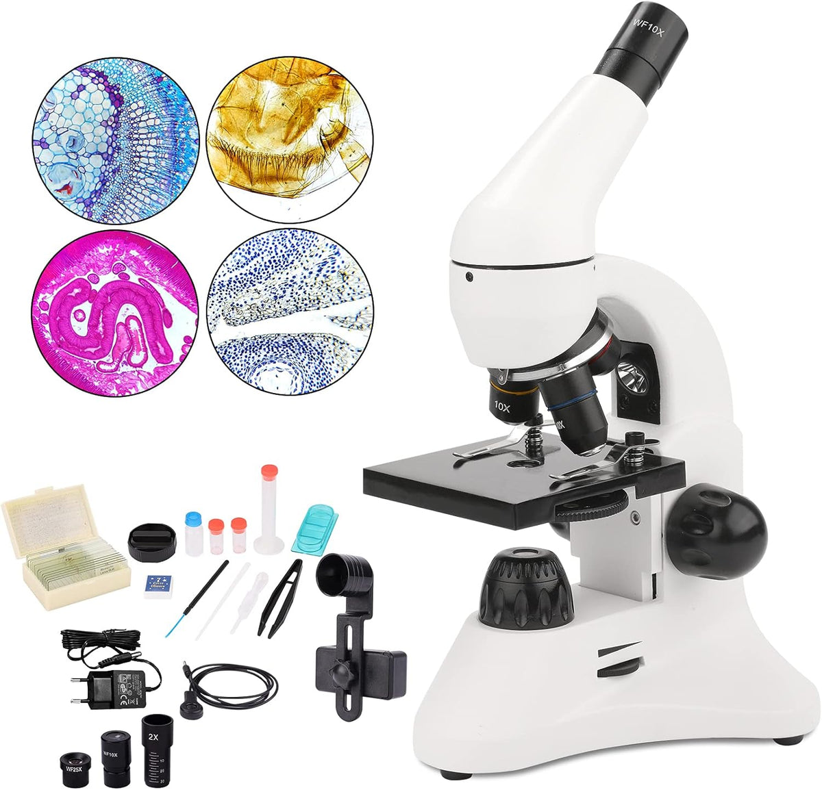 40X-2000X Compound Microscope with LED Light V327761