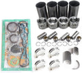 Engine Overhaul Rebuild Kit for Kubota Tractor O699813
