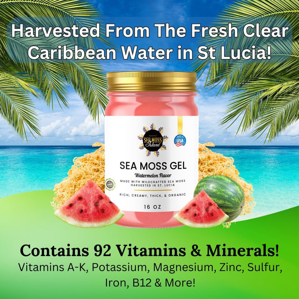 Watermelon Sea Moss Gel Wildcrafted Irish Seamoss Gel Vegan Vitamin Supplement - Pack of 1-16oz N422