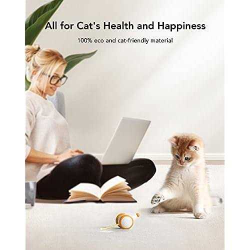 Interactive Cat Toys with LED Lights E478844