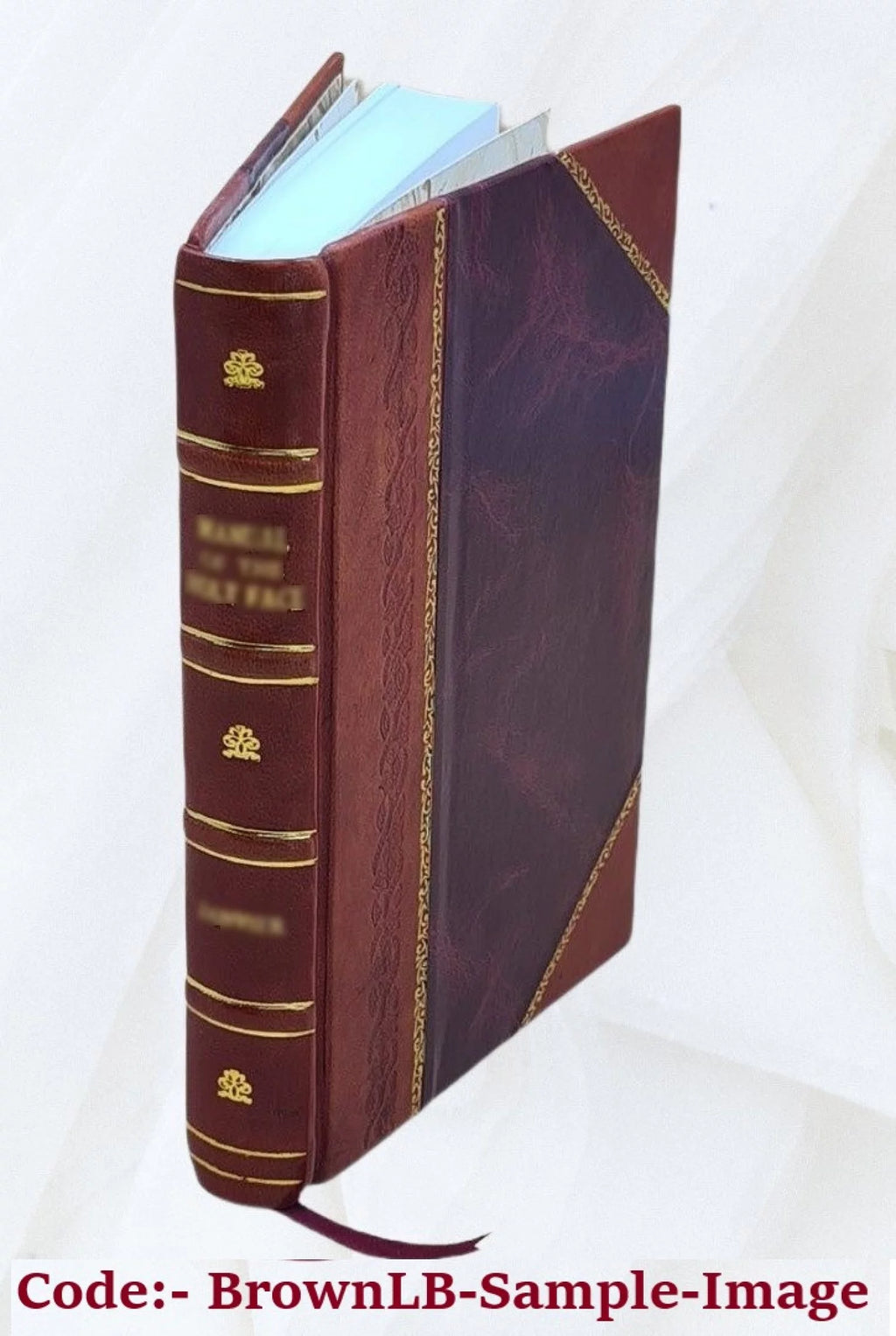 Mexican Bibliography 18th Century Leather Bound K22232