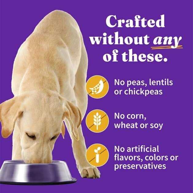 Grain Free Chicken Wet Dog Food U501
