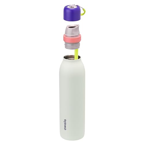 24-oz Insulated Stainless Steel Water Bottle with Straw O816
