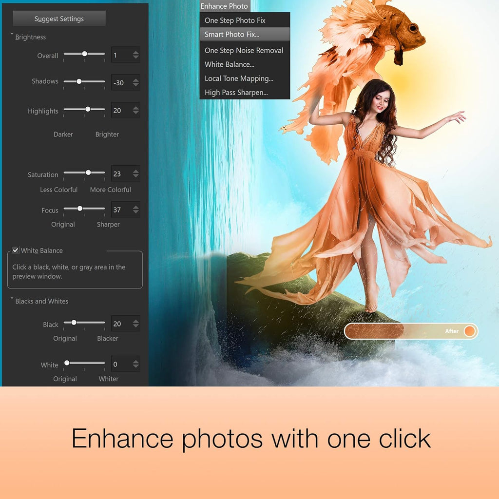 Photo Editing & Graphic Design Software [PC Download] B303