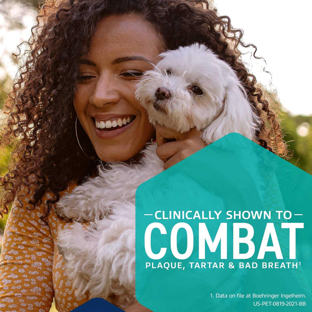 Dental Hygiene Chews Dogs X297249