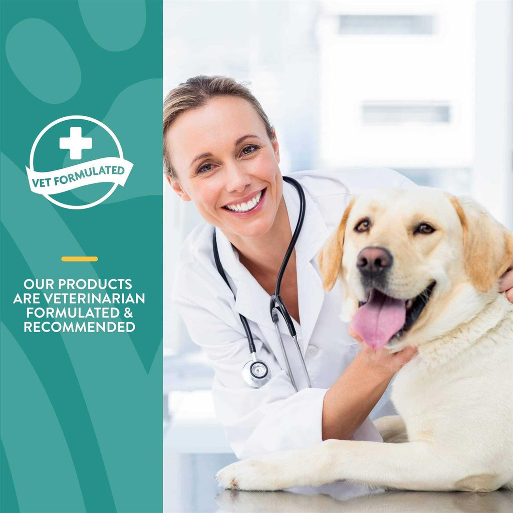 Hemp Oil Calming Drops for Dogs & Cats L787231