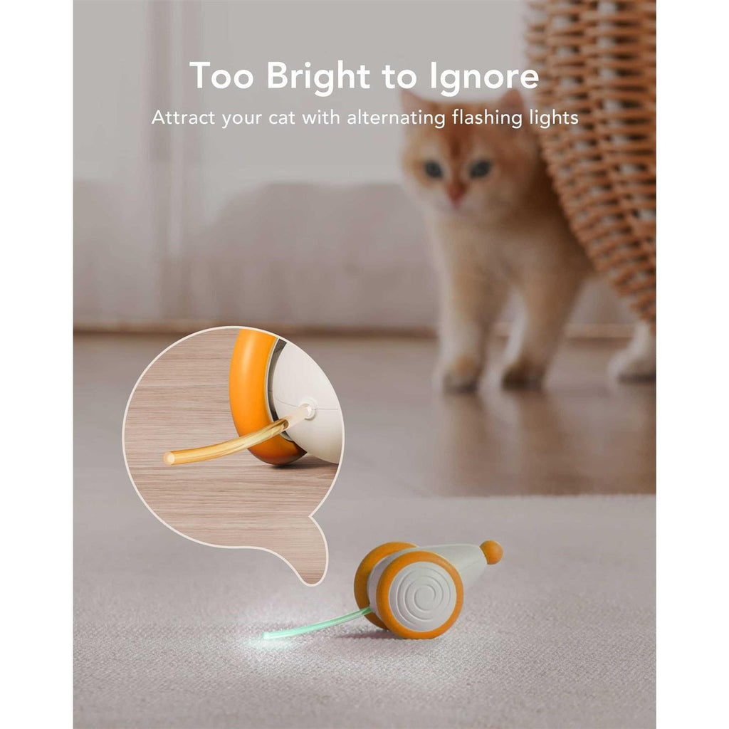 Interactive Cat Toys with LED Lights E478844