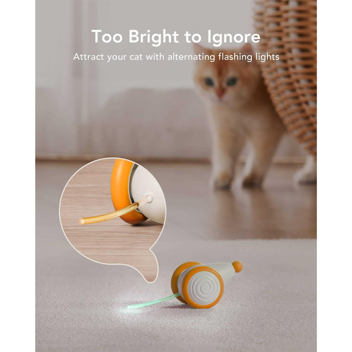 Interactive Cat Toys with LED Lights E478844