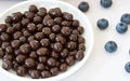 Chocolate Covered Blueberries T644235
