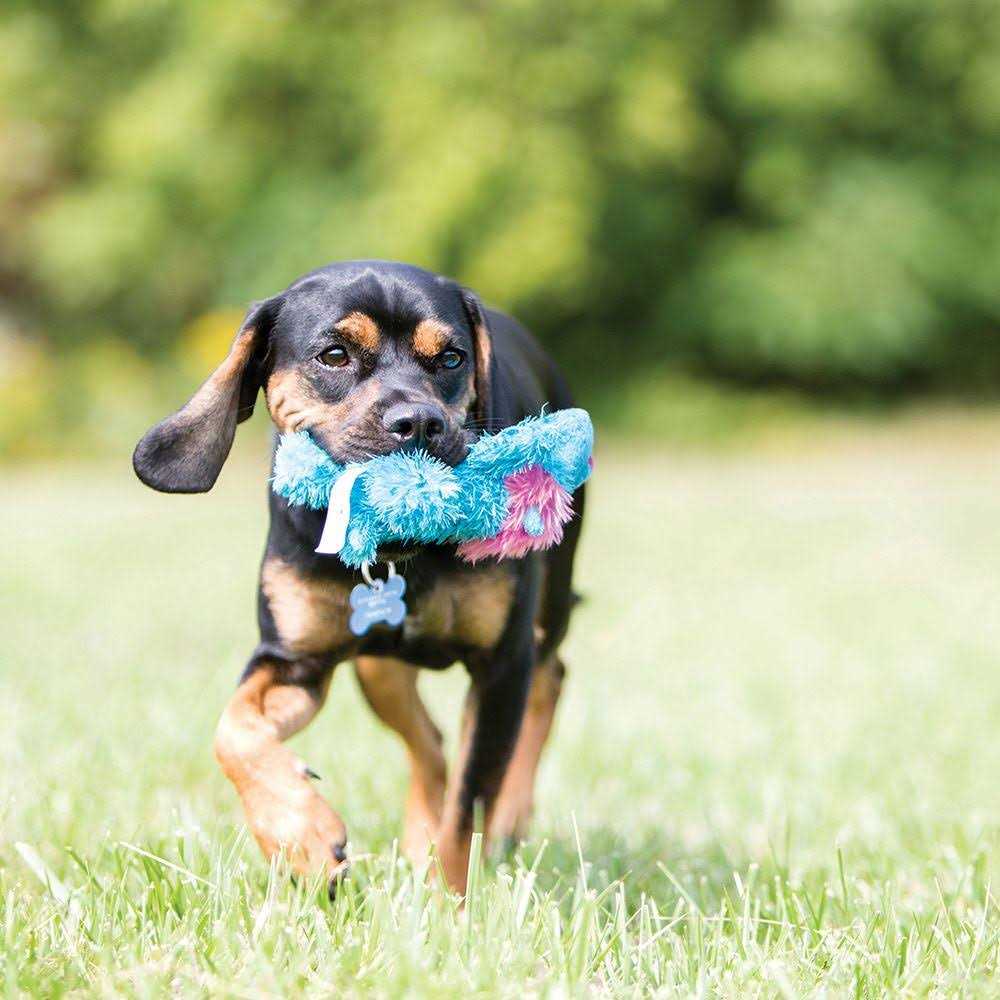 Dog Toy G405