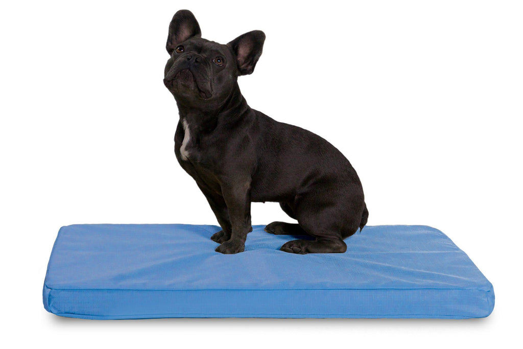 Chew Resistant Orthopedic Crate Pad D76860