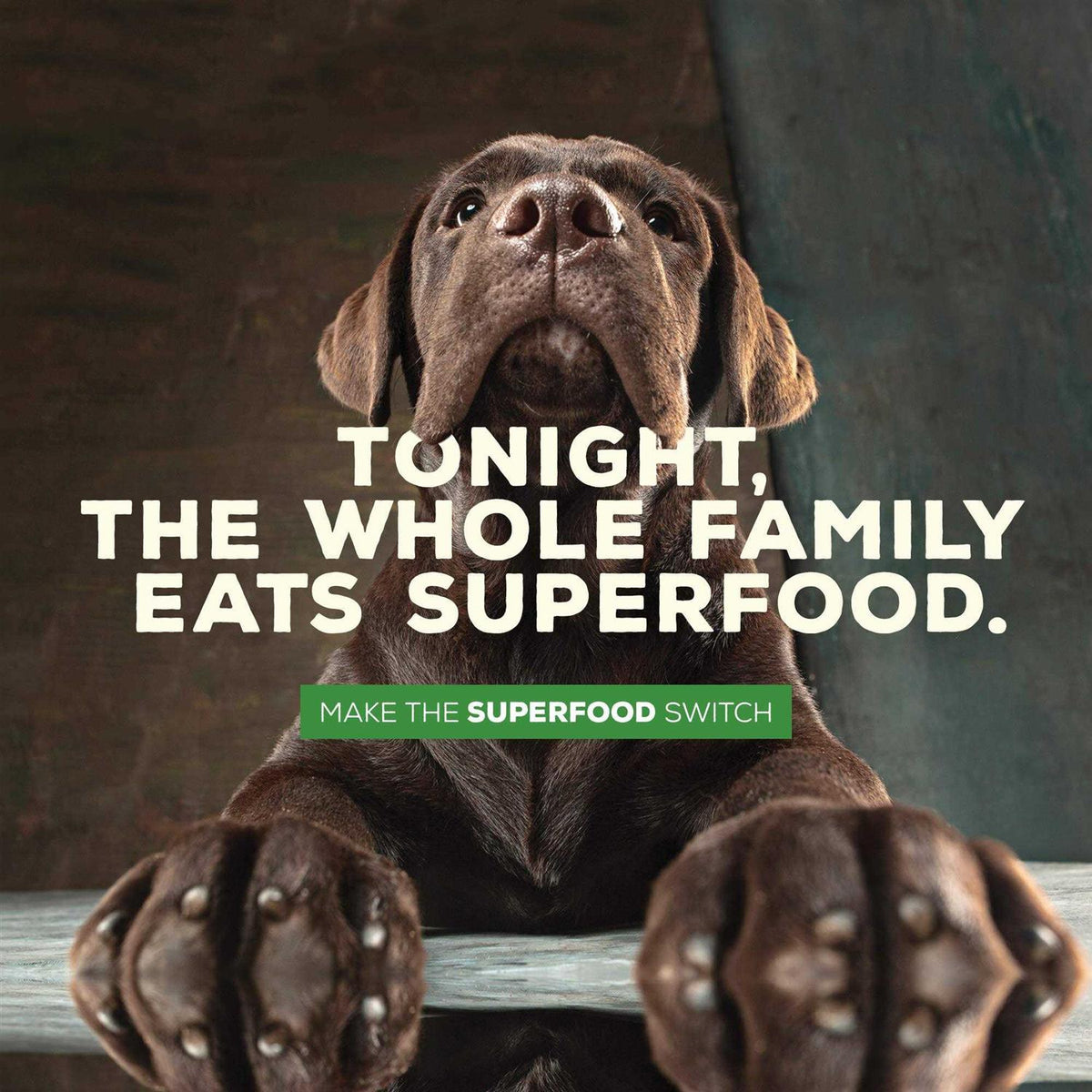Grain Free Sweet Potato Recipe Dog Food E28035