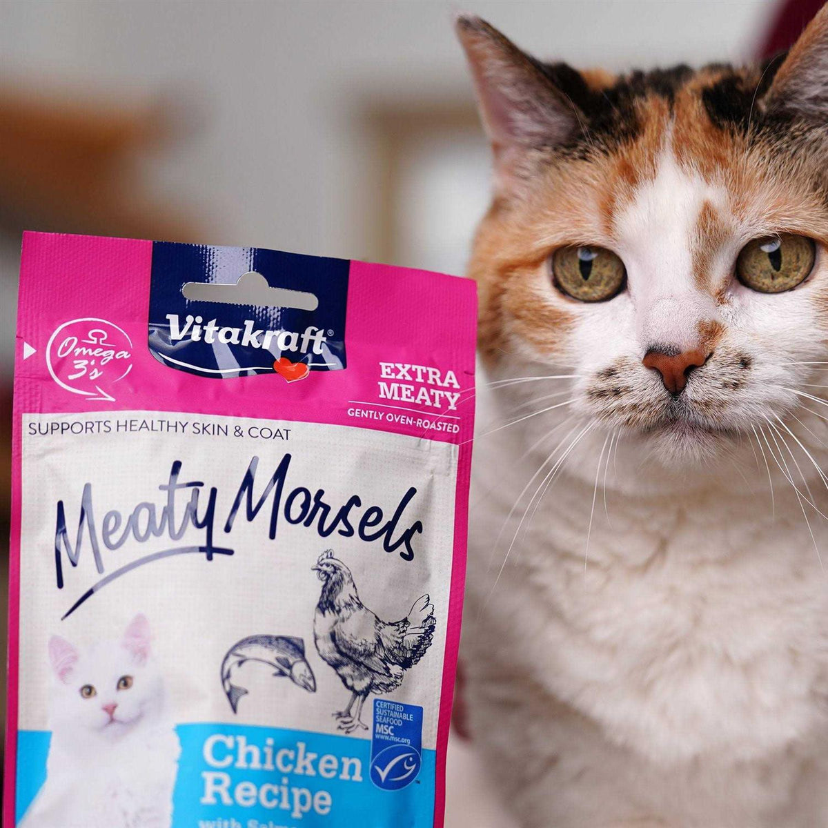 Chicken Salmon Cat Treat D780724