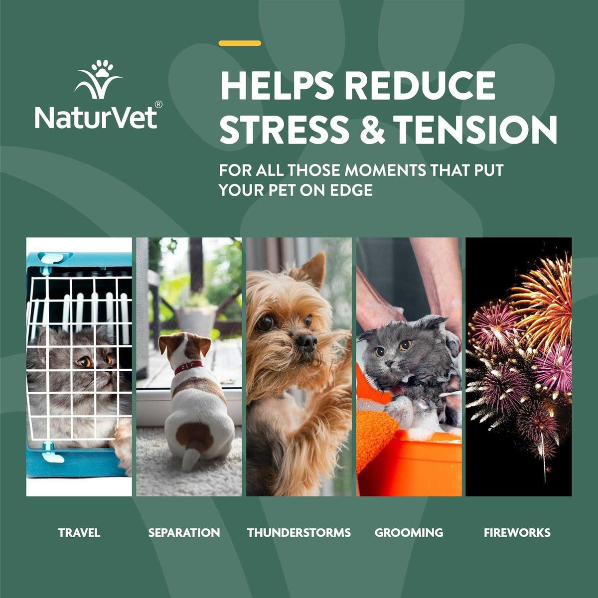 Hemp Oil Calming Drops for Dogs & Cats L787231