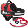 Service Dog Vest and Leash Set R465