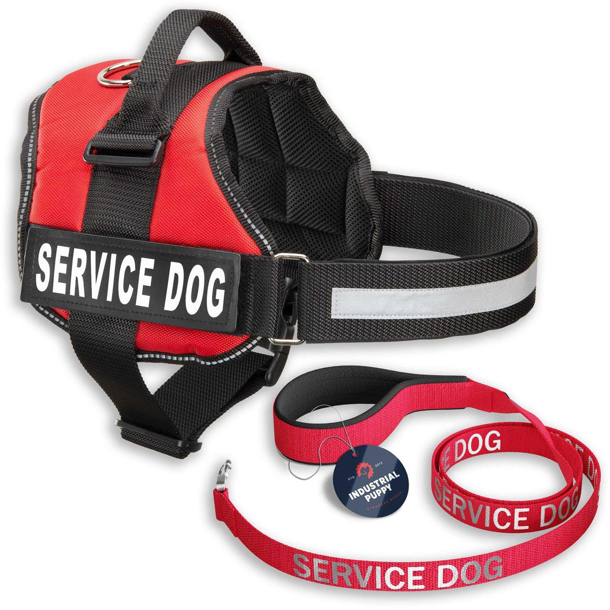 Service Dog Vest and Leash Set R465