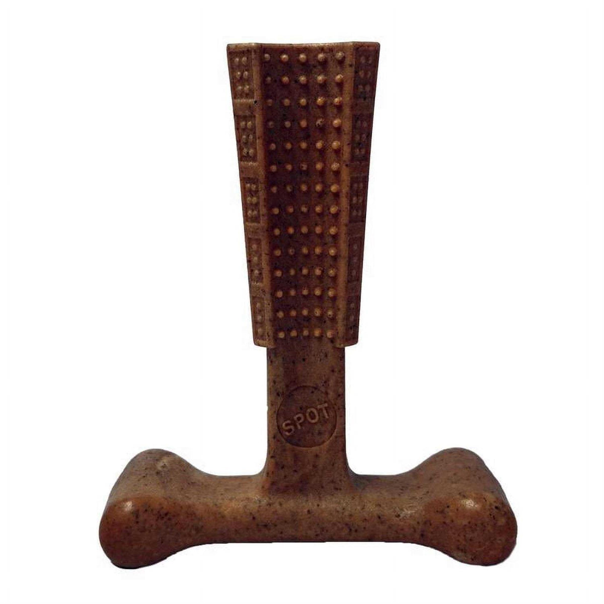 Beef Bone V493