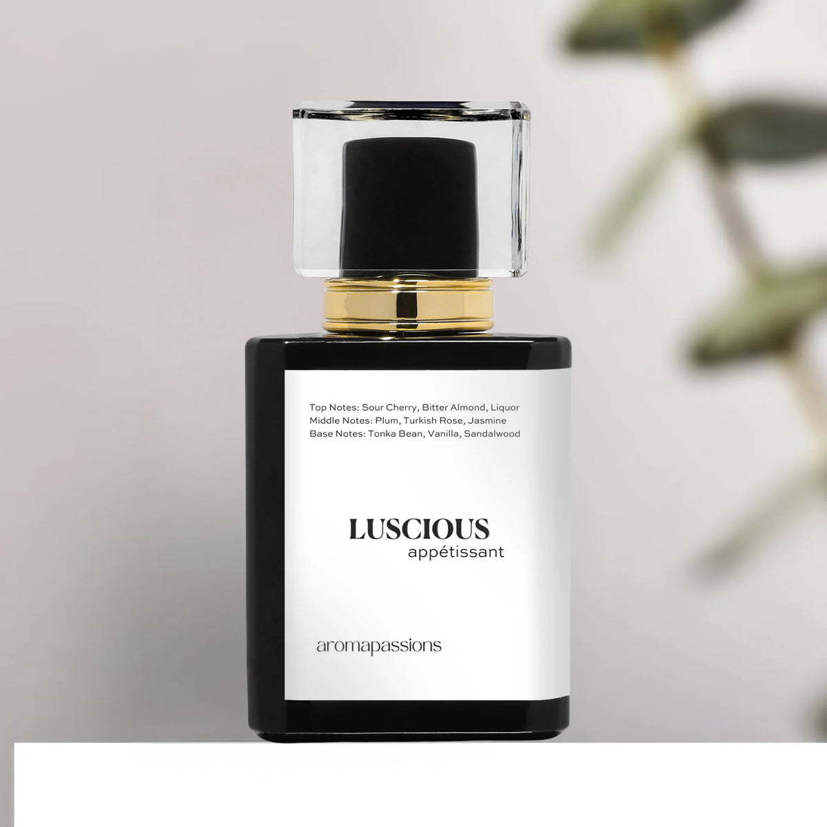 Pheromone Perfume Cologne Extrait De Parfum R267