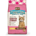 Dry Cat Food T328672
