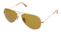 Metal Sunglasses V386146