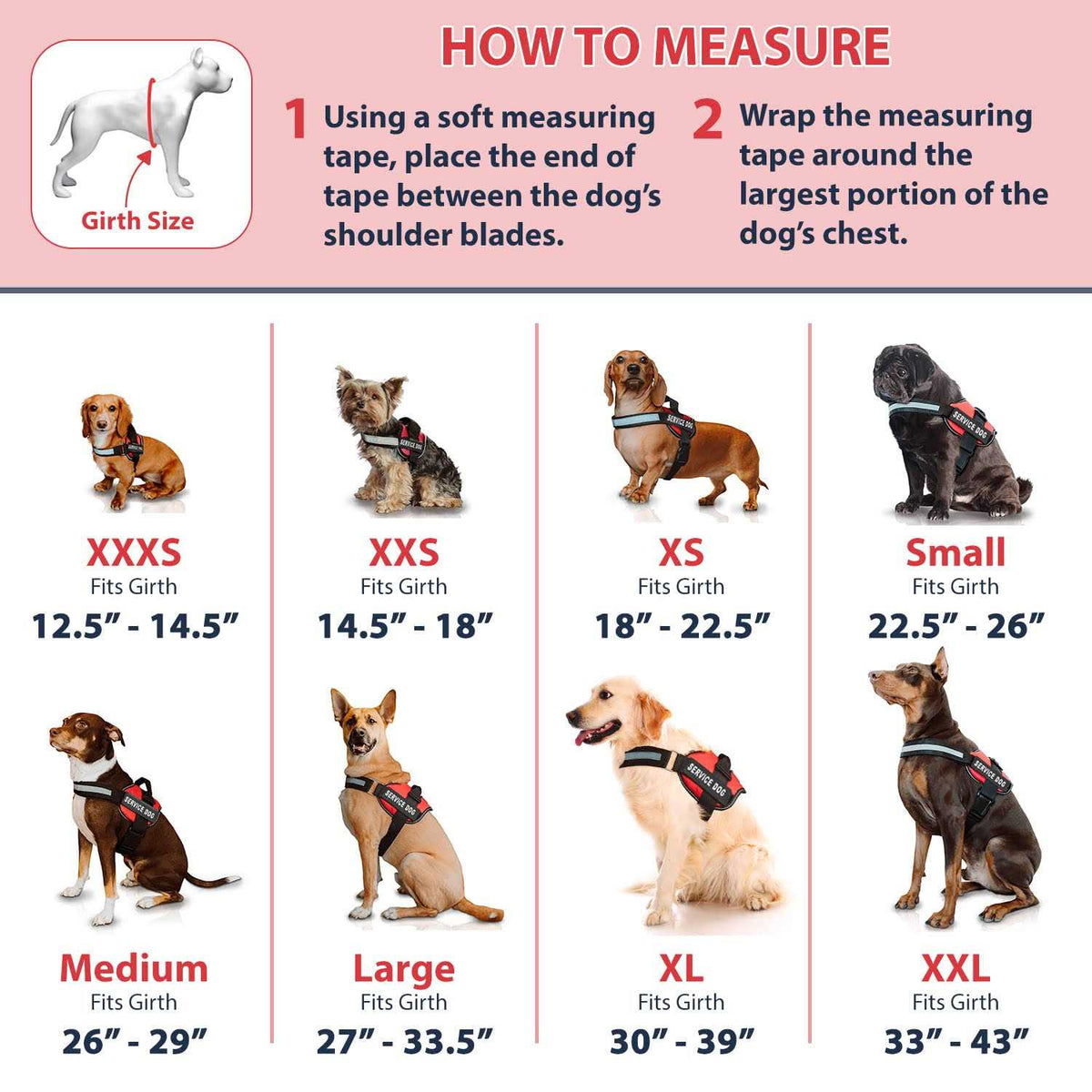 Service Dog Vest and Leash Set R465