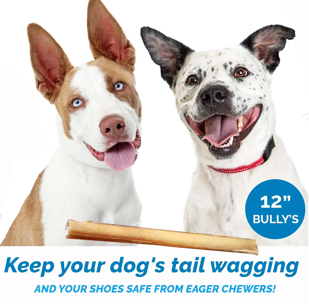 12 Inch Bully Stick for Dogs 1 Pound Bag Natural Beef Dental Chews T3905
