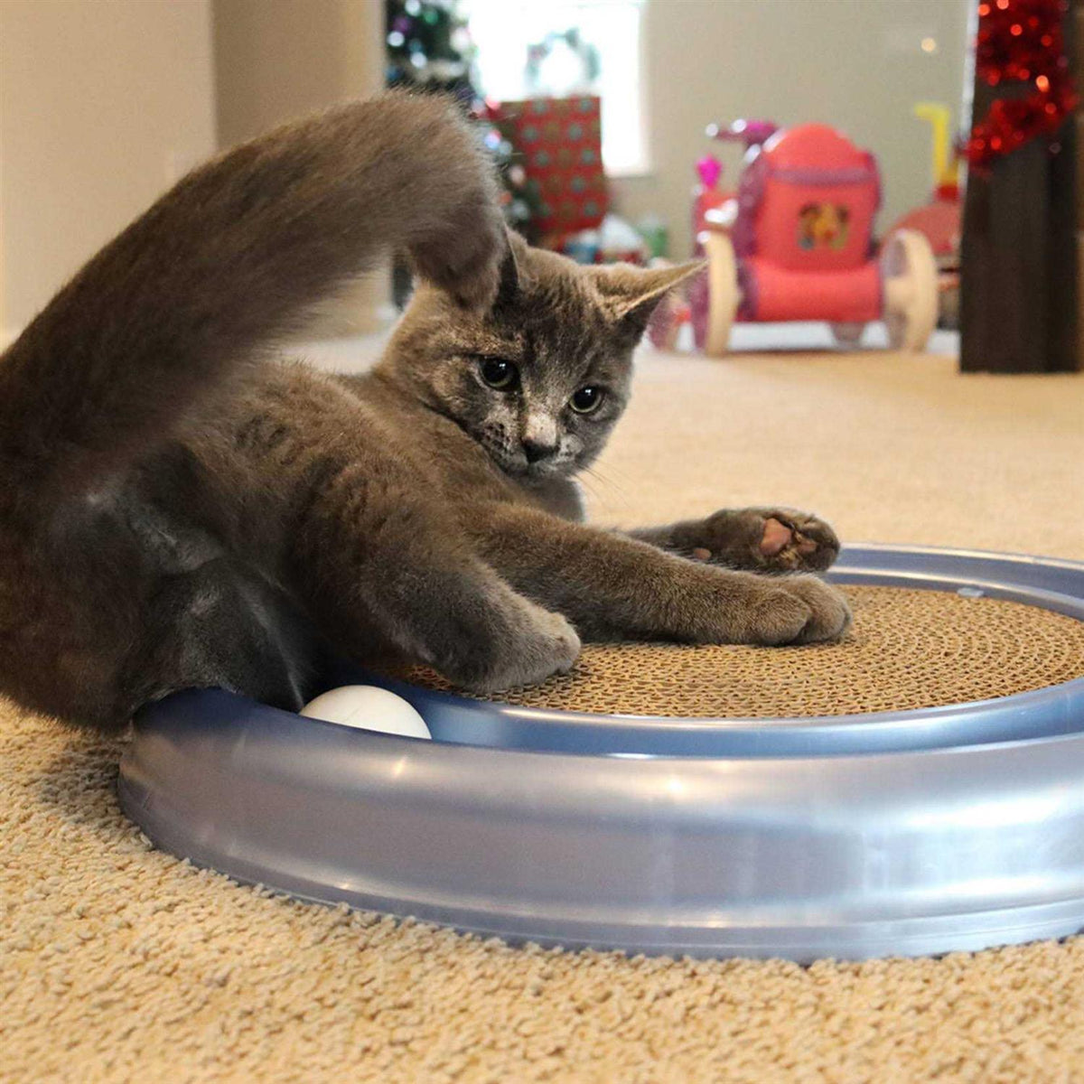 Turbo Scratcher Cat Toy L498