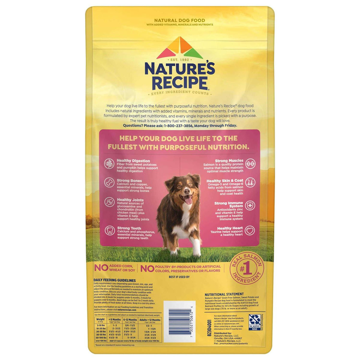 Grain Free Salmon Sweet Potato & Pumpkin Dry Dog Food I2847
