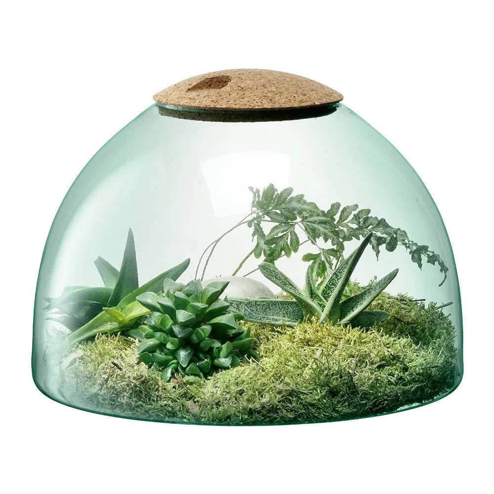 Clear Closed Garden Cork 22cm H510