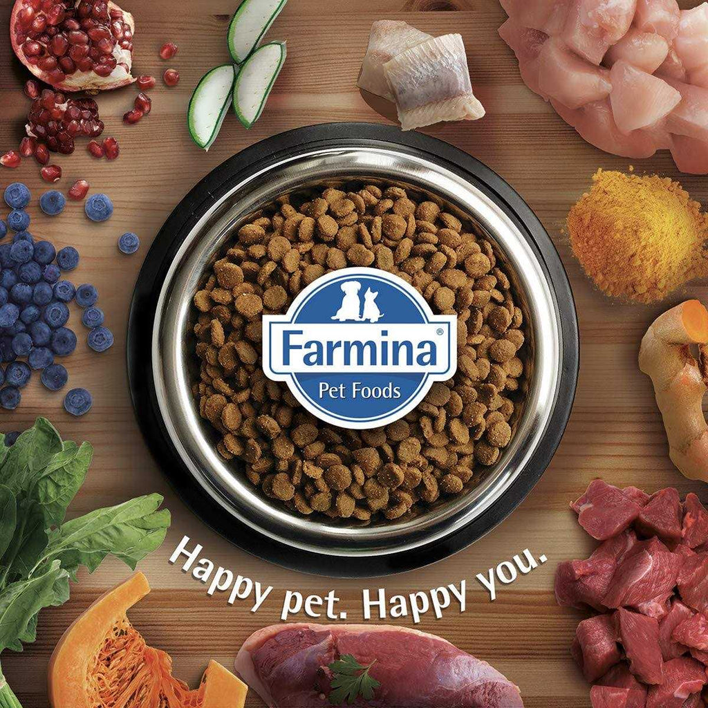 Chicken & Pomegranate Dry Dog Food O7556