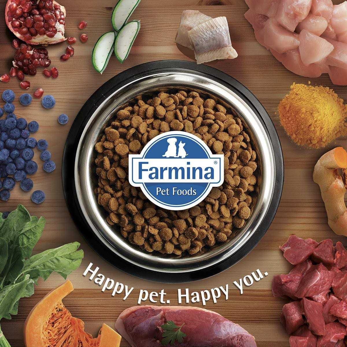 Chicken & Pomegranate Dry Dog Food O7556