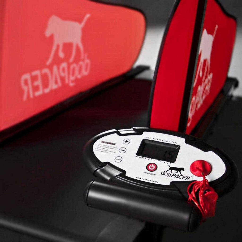 Dog Treadmill Z128743