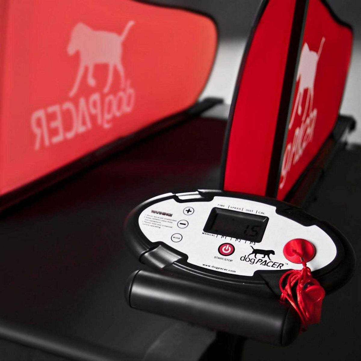 Dog Treadmill Z128743