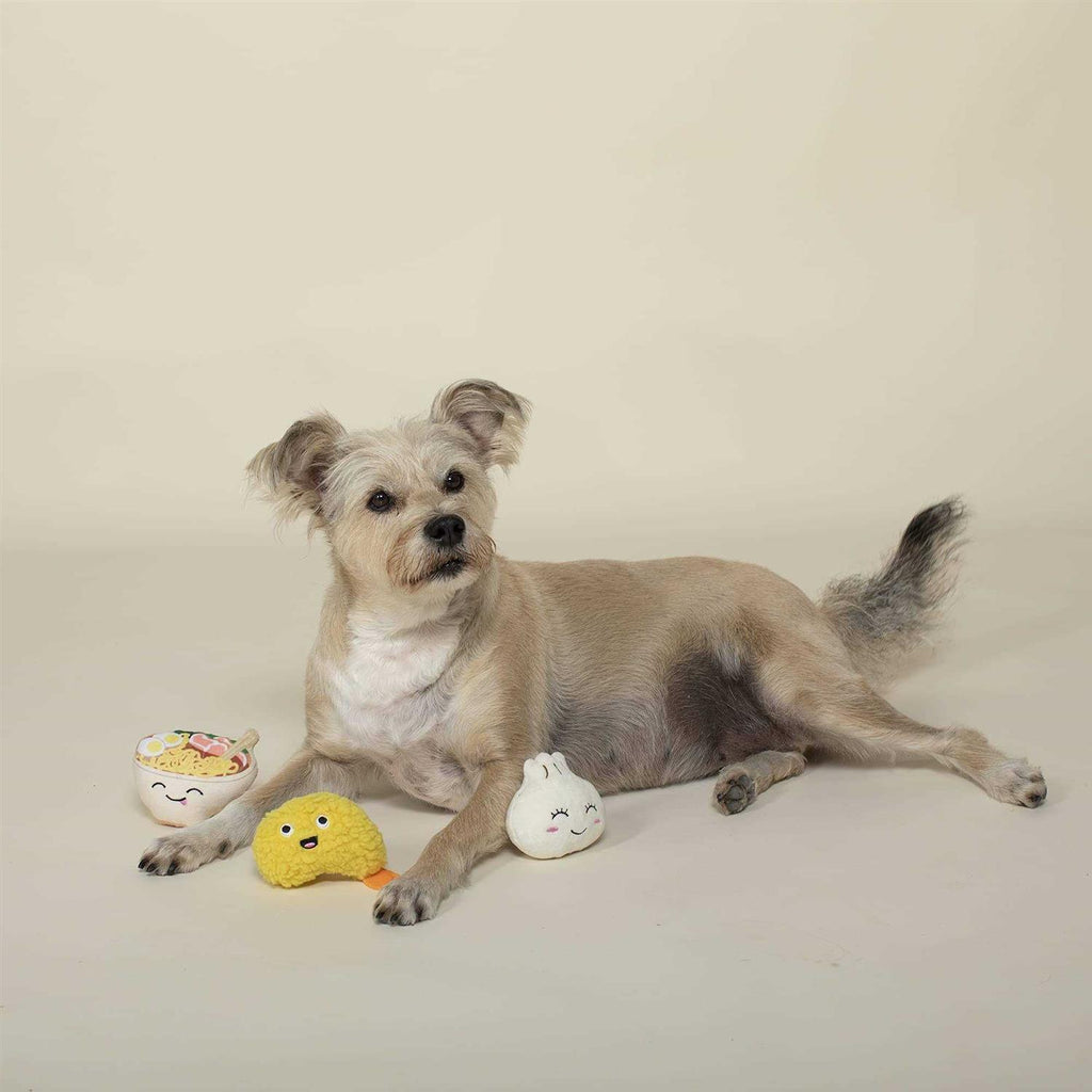 Plush Dog Toy Set I238