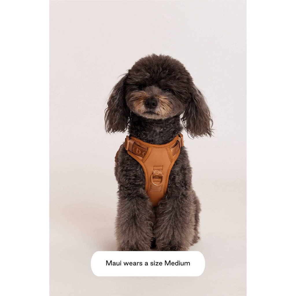 Easy Fit Harness P78211