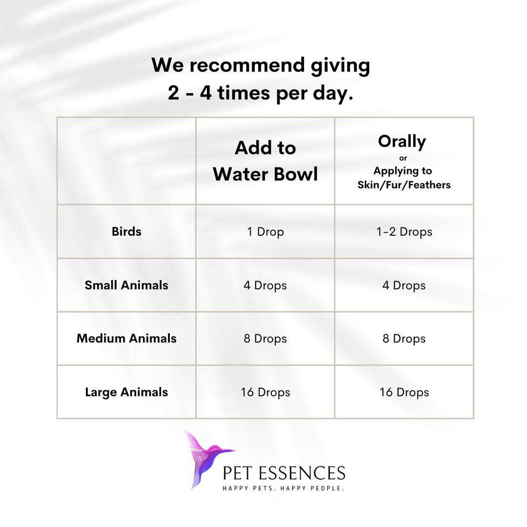 Pet Essences Seizures F658046