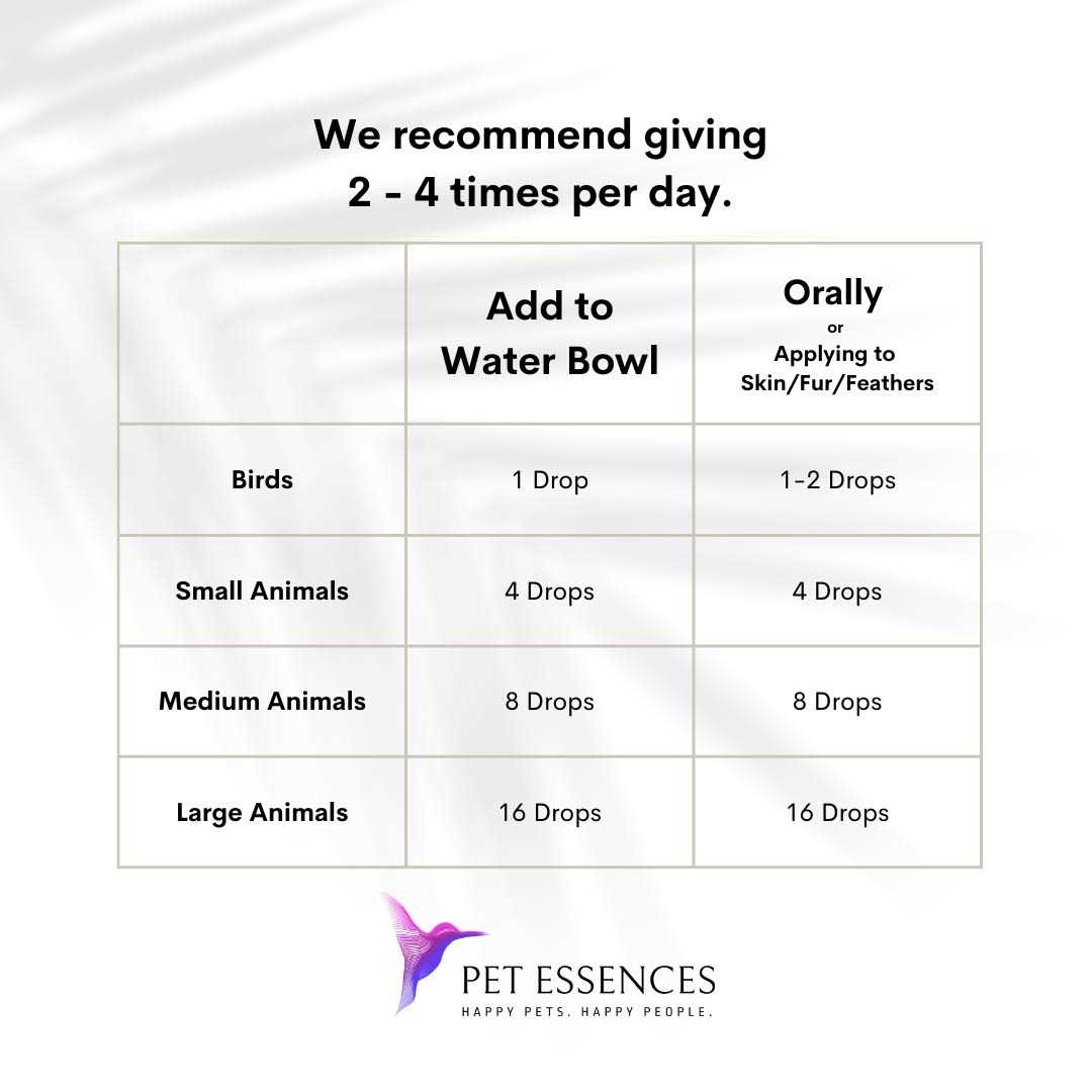 Pet Essences Seizures F658046