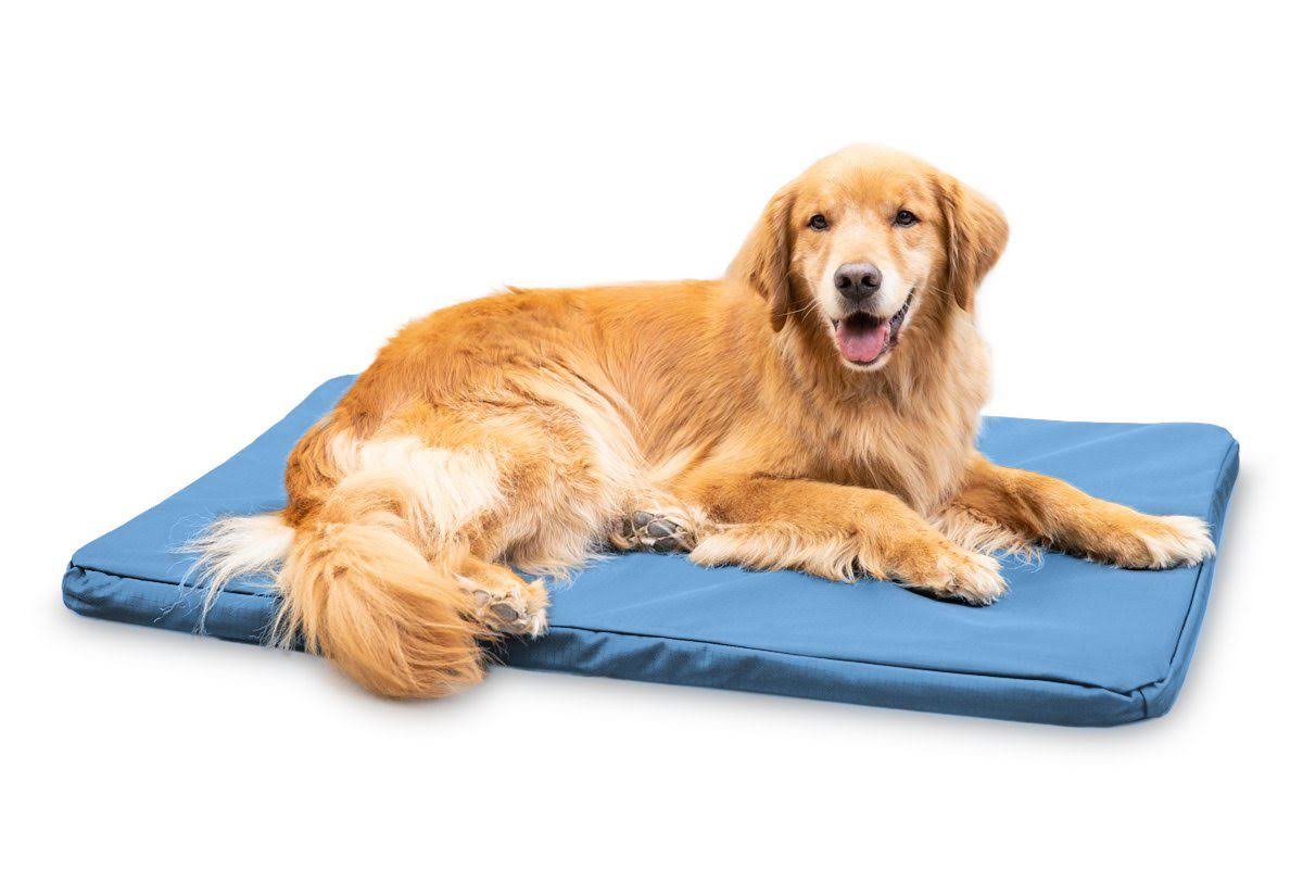 Chew Resistant Orthopedic Crate Pad D76860