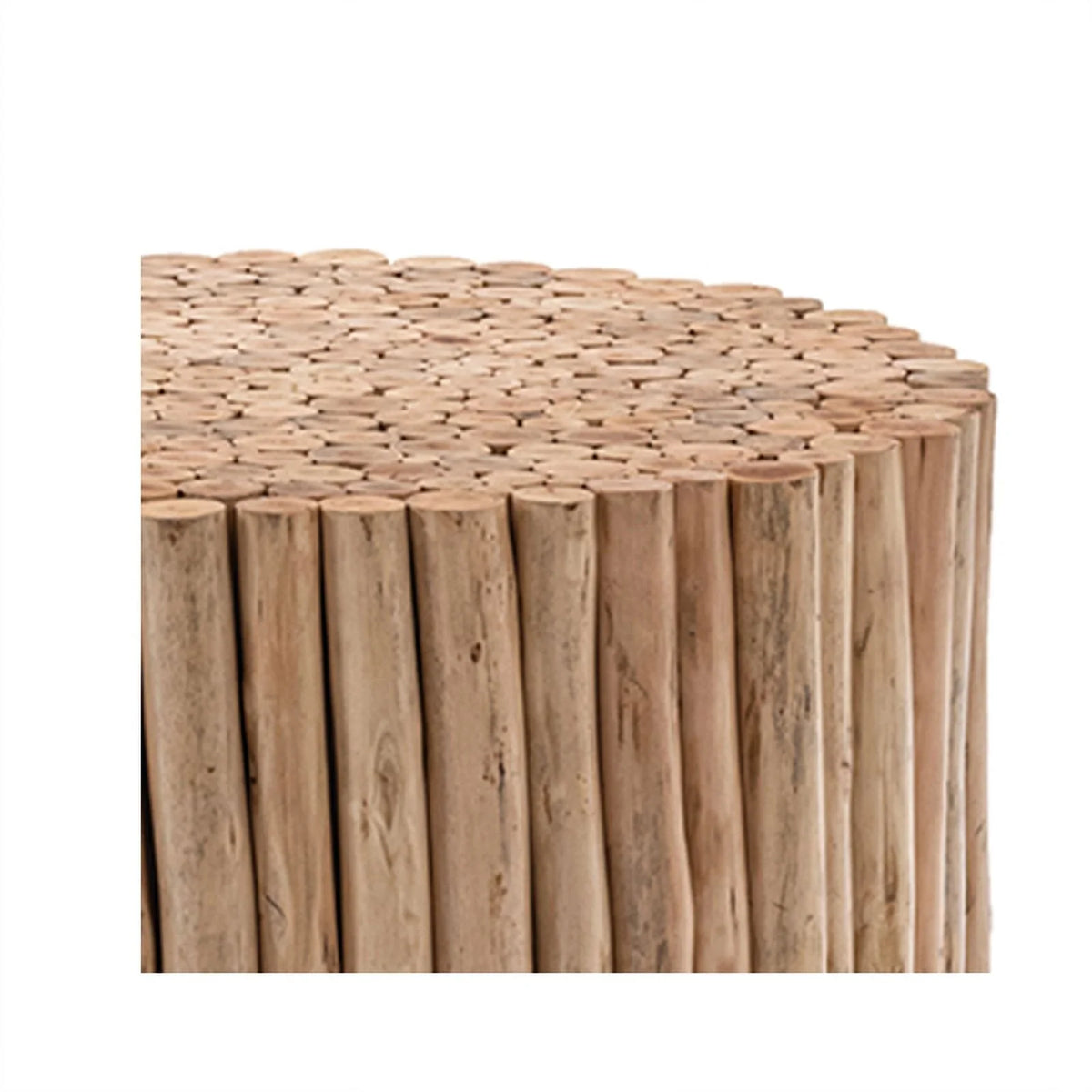 Contemporary Jungle Wood Coffee Table U1716