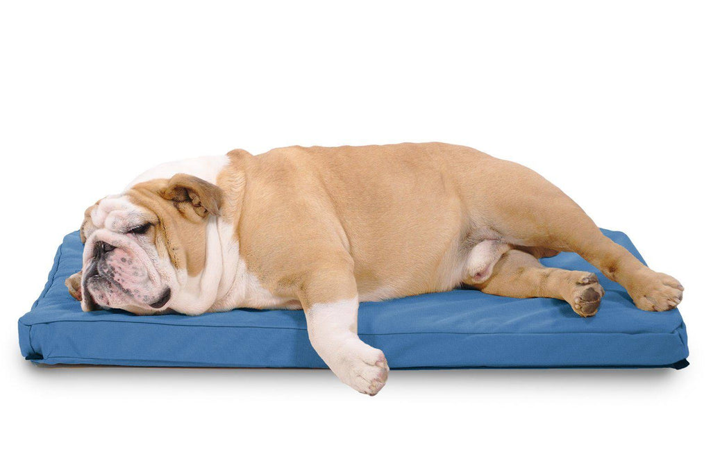 Chew Resistant Orthopedic Crate Pad D76860