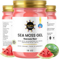 Watermelon Sea Moss Gel Wildcrafted Irish Seamoss Gel Vegan Vitamin Supplement - Pack of 1-16oz N422