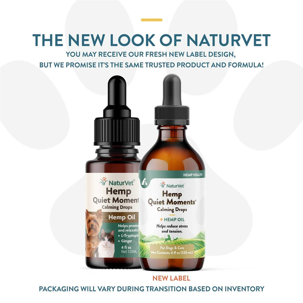 Hemp Oil Calming Drops for Dogs & Cats L787231