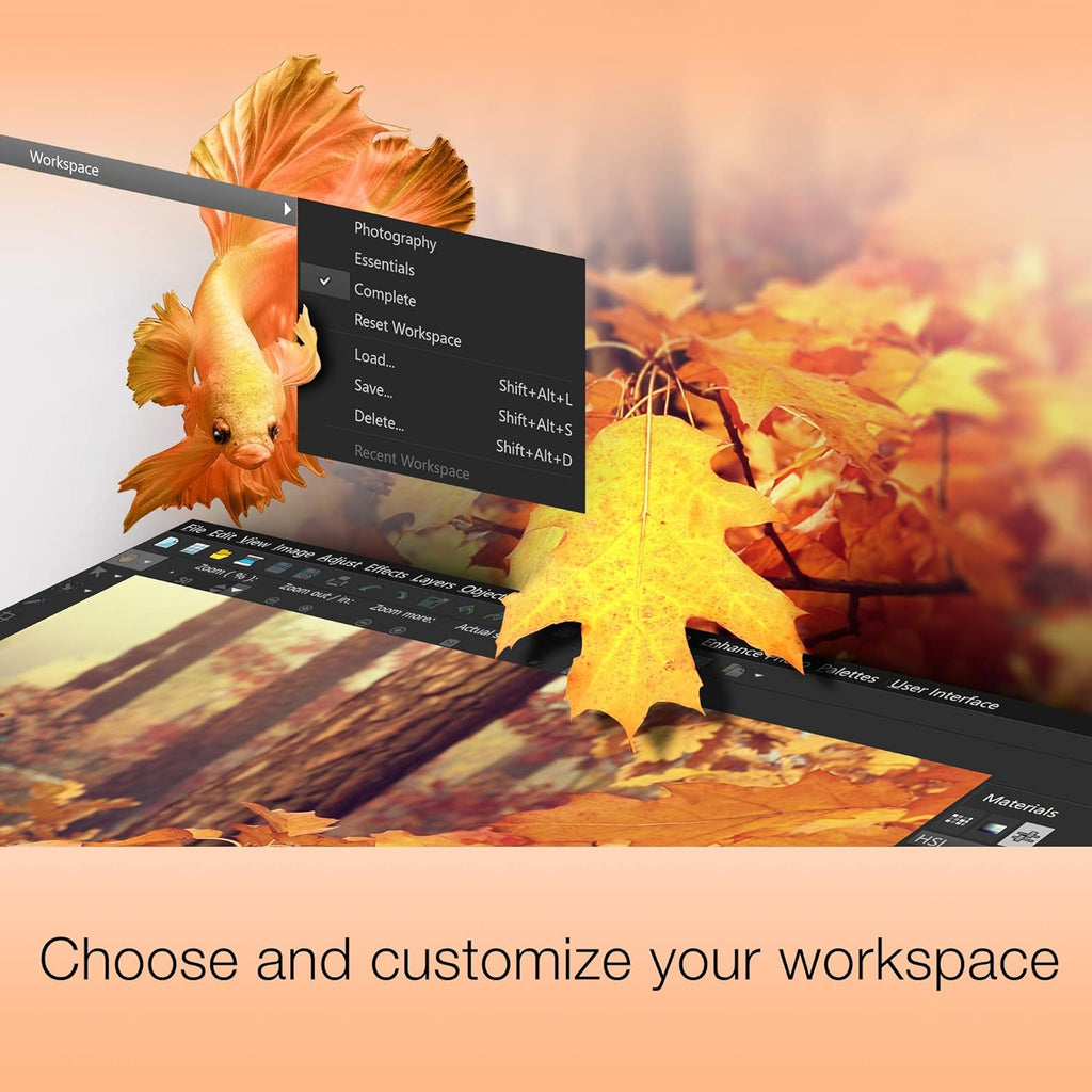 Photo Editing & Graphic Design Software [PC Download] B303