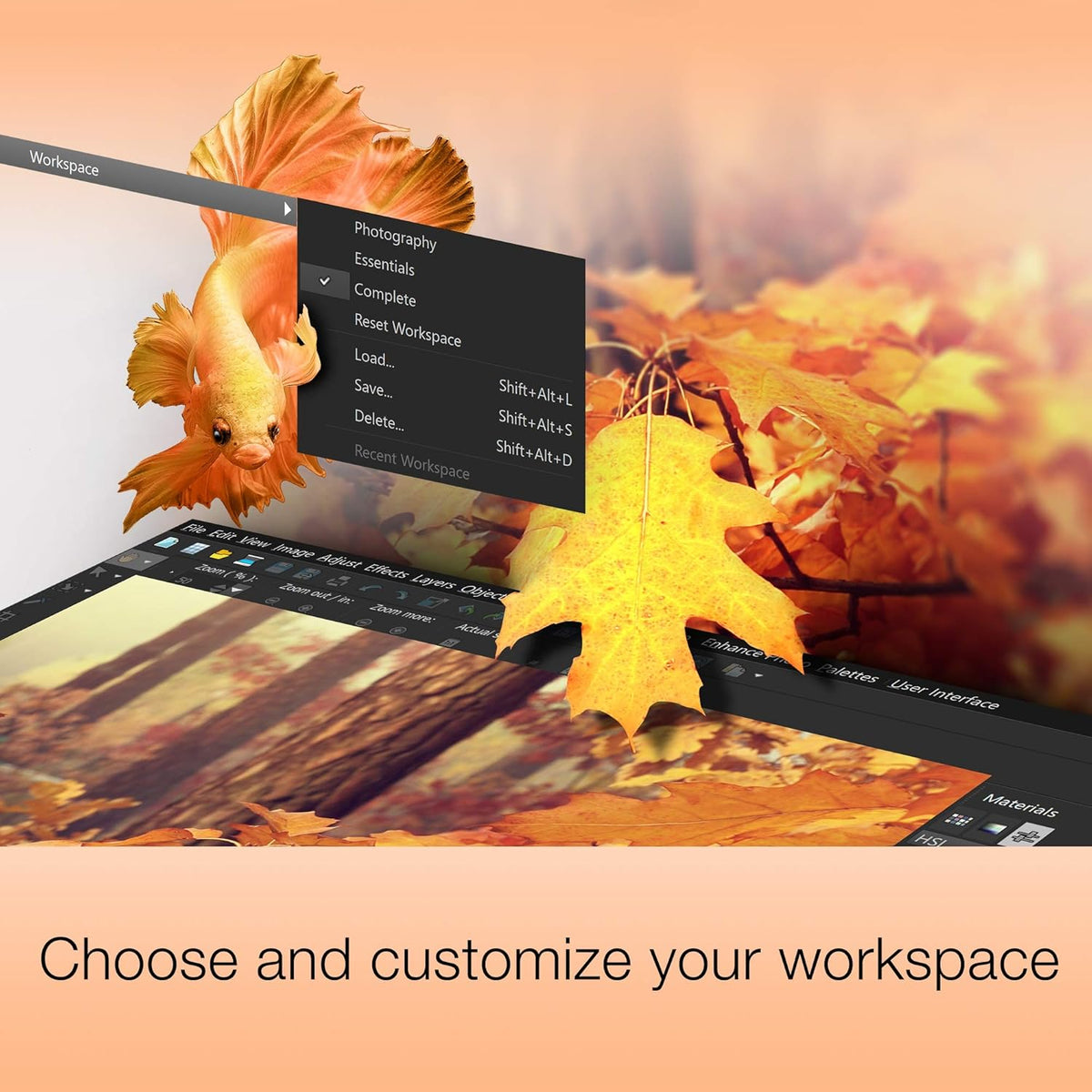 Photo Editing & Graphic Design Software [PC Download] B303