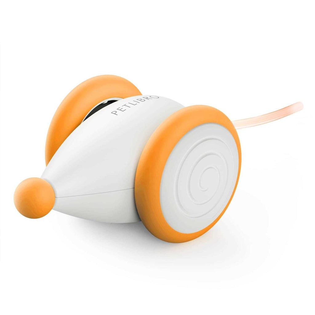 Interactive Cat Toys with LED Lights E478844