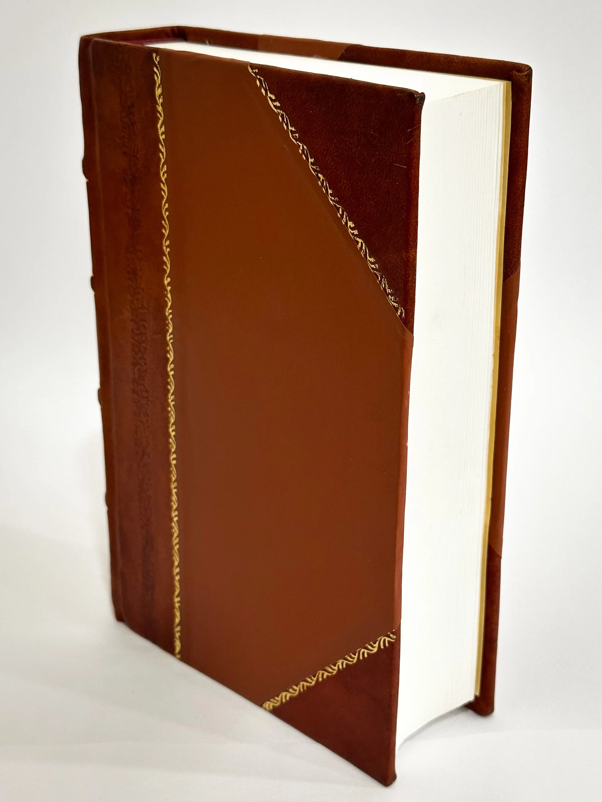 Leather Bound Book Y76715