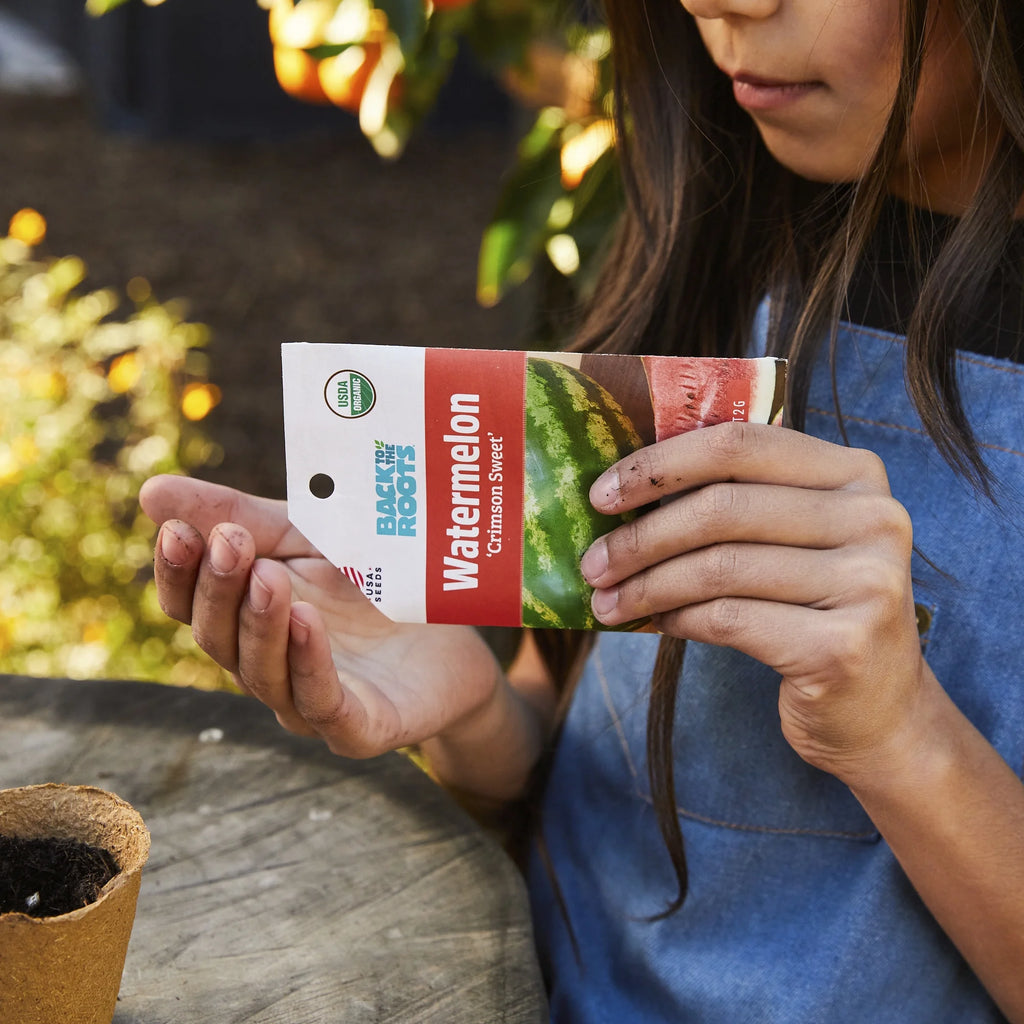 Organic Sweet Red Marconi Pepper Seeds, 1 Seed Packet J797