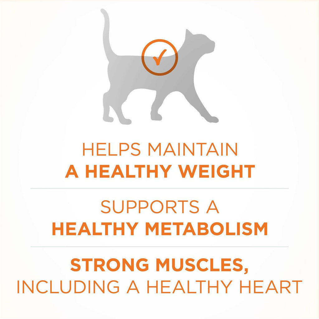 Dry Cat Food D274753